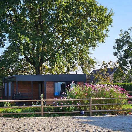 Houten Huisje Tussen Paarden Nieuwerkerken Exteriér fotografie