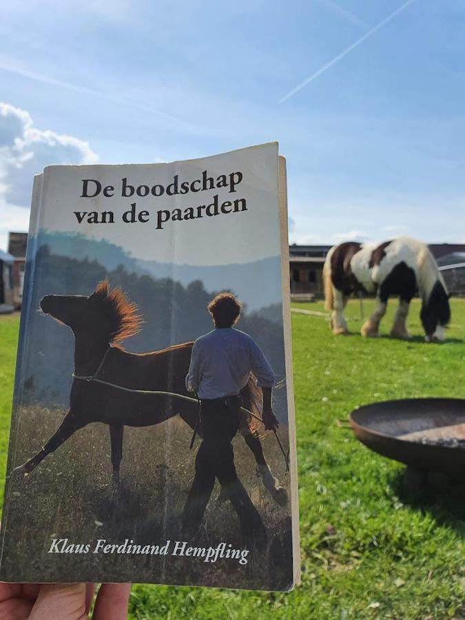 Houten Huisje Tussen Paarden Nieuwerkerken Exteriér fotografie