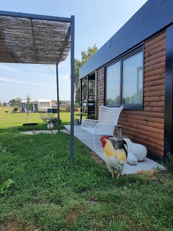 Houten Huisje Tussen Paarden Nieuwerkerken Exteriér fotografie