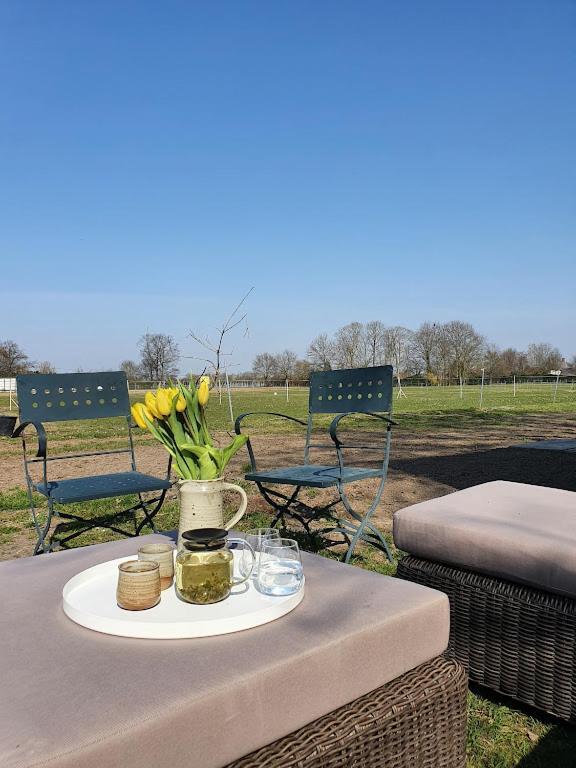 Houten Huisje Tussen Paarden Nieuwerkerken Exteriér fotografie