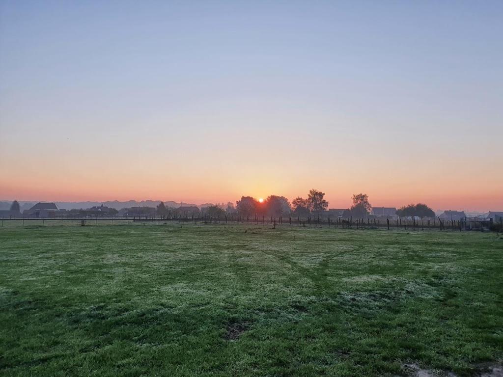 Houten Huisje Tussen Paarden Nieuwerkerken Exteriér fotografie