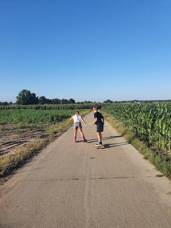 Houten Huisje Tussen Paarden Nieuwerkerken Exteriér fotografie