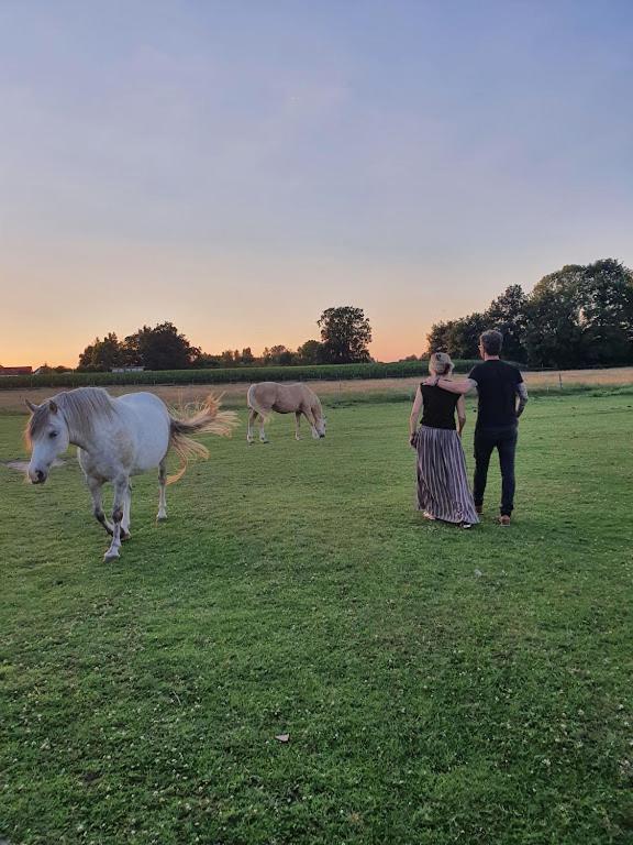Houten Huisje Tussen Paarden Nieuwerkerken Exteriér fotografie