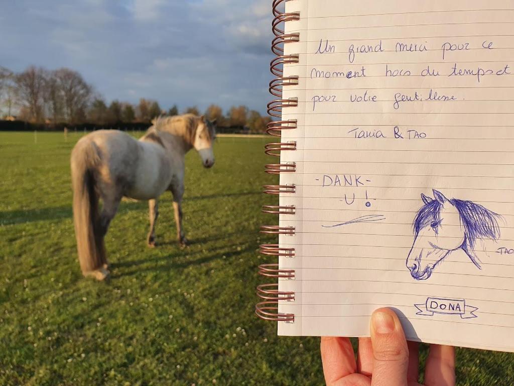 Houten Huisje Tussen Paarden Nieuwerkerken Exteriér fotografie