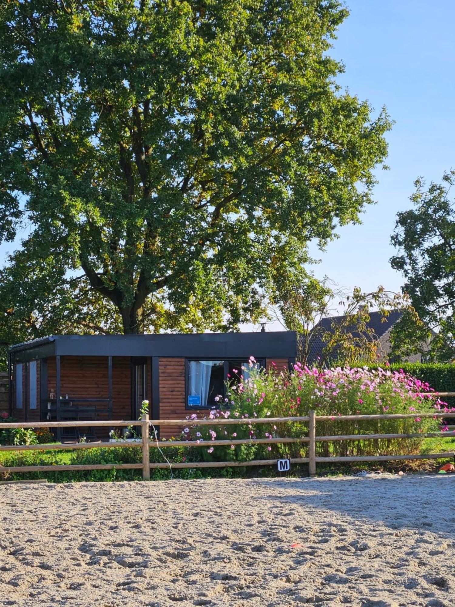 Houten Huisje Tussen Paarden Nieuwerkerken Exteriér fotografie